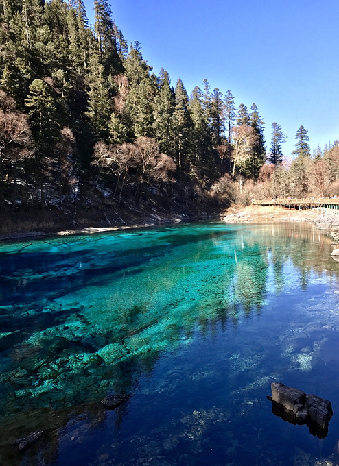 100张图片告诉你冬天的九寨沟有多美丽-九寨沟旅游攻略-游记-去哪儿