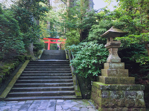 箱根神社旅游景点图片