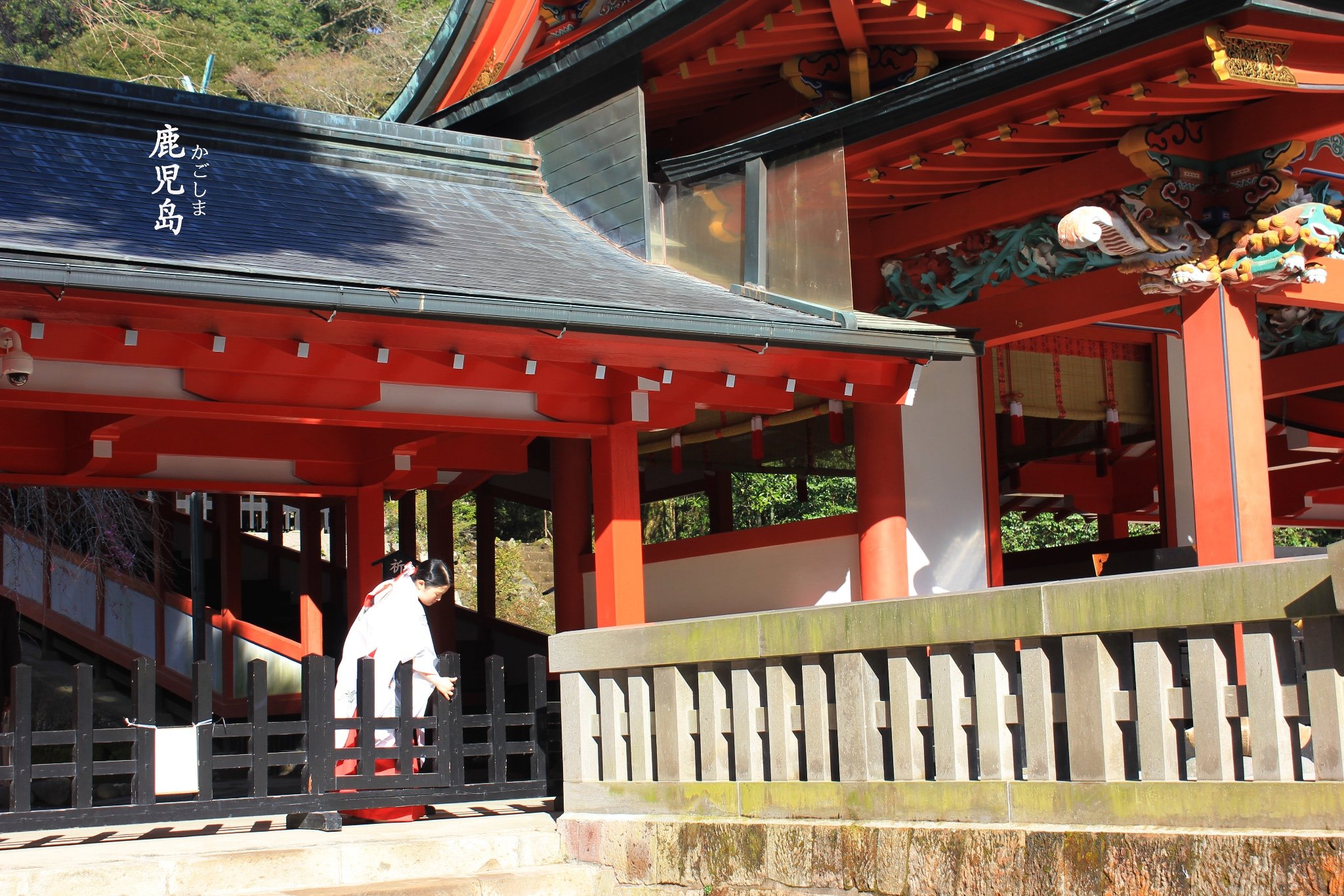 橙色的雾岛神宫,风景如画,地理位置优越.