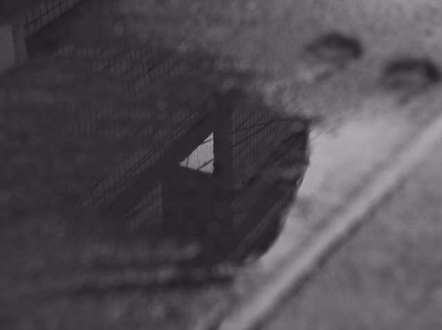 郑州商城国家考古遗址公园