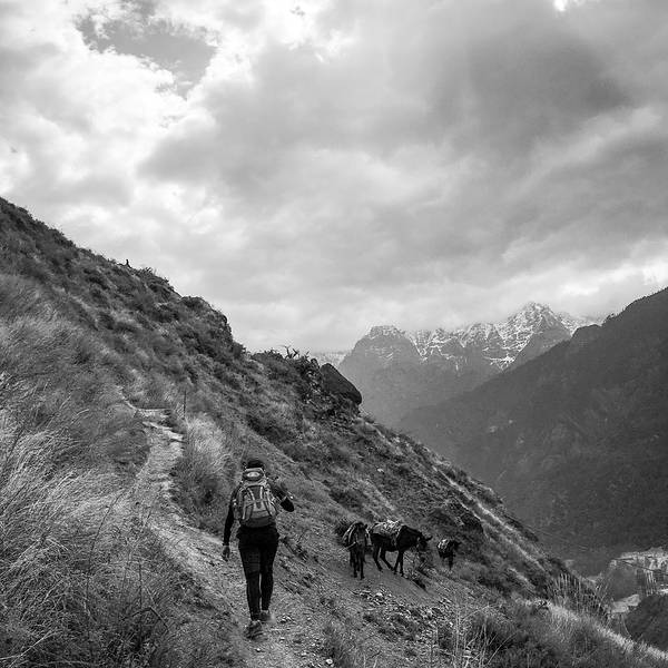 2019虎跳峡门票,丽江虎跳峡游玩攻略,虎跳峡游
