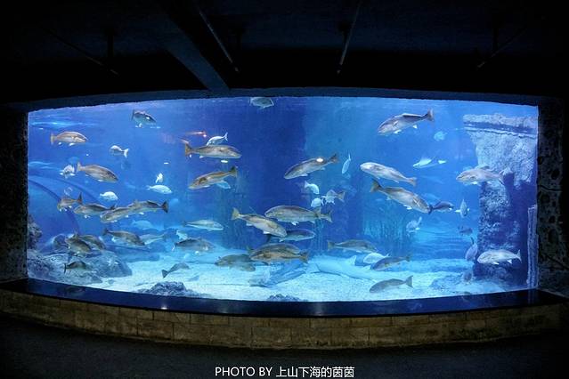 杭州长乔极地海洋公园