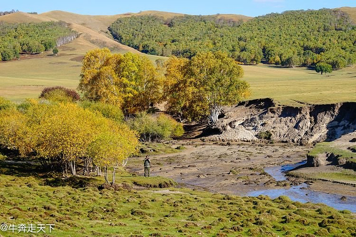看近处隆起的土堆,——用上照片效果,会非常有插画的风格