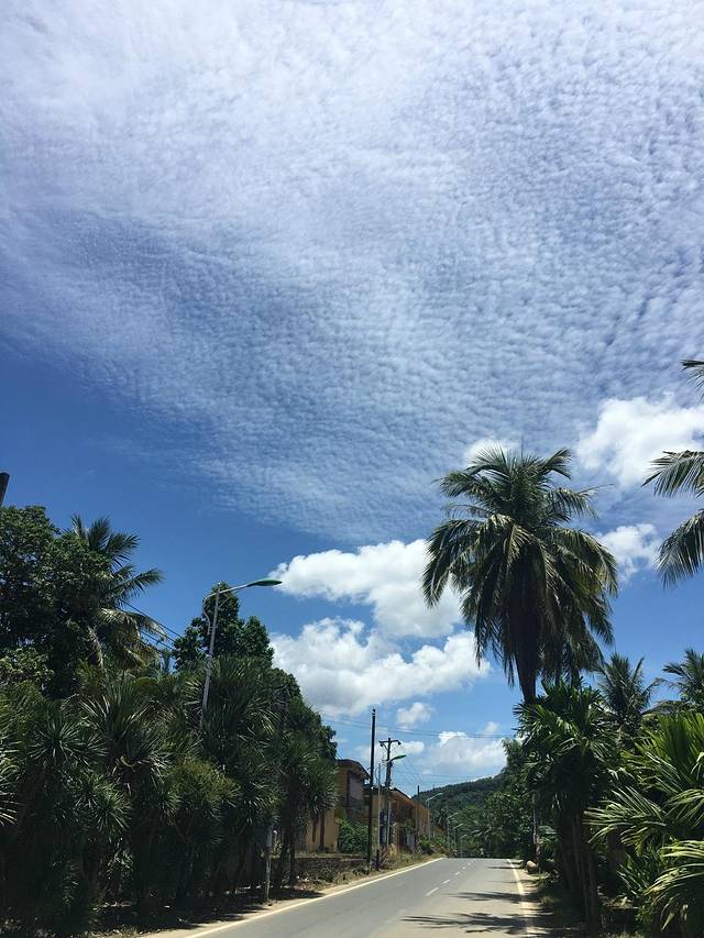 海南天涯热带雨林博物馆