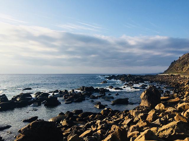今天天气不错 天气预报大概有30度 决定猫在酒