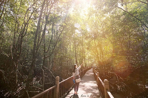 红树林生态保护区旅游景点攻略图