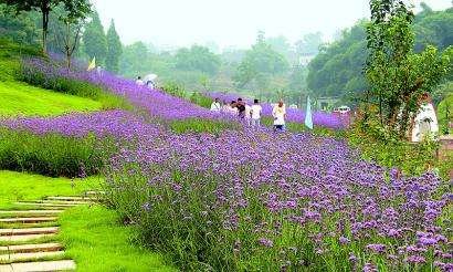 奔赴山河果博平台建设新韶关(图1)