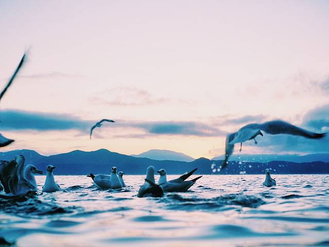 猪槽船游湖（里格码头）