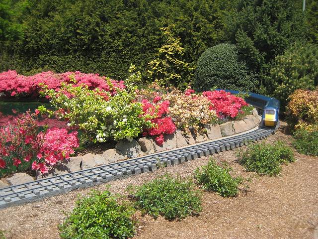 科金顿绿色花园