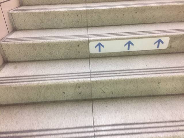 二之丸庭园(二条城内)