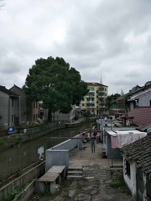 庄行古镇(冷江雨巷)