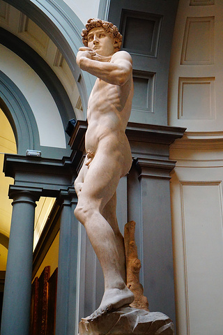 米开朗基罗的半身像