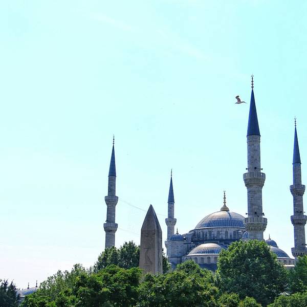 2018苏丹艾哈迈德清真寺_旅游攻略_门票_地址