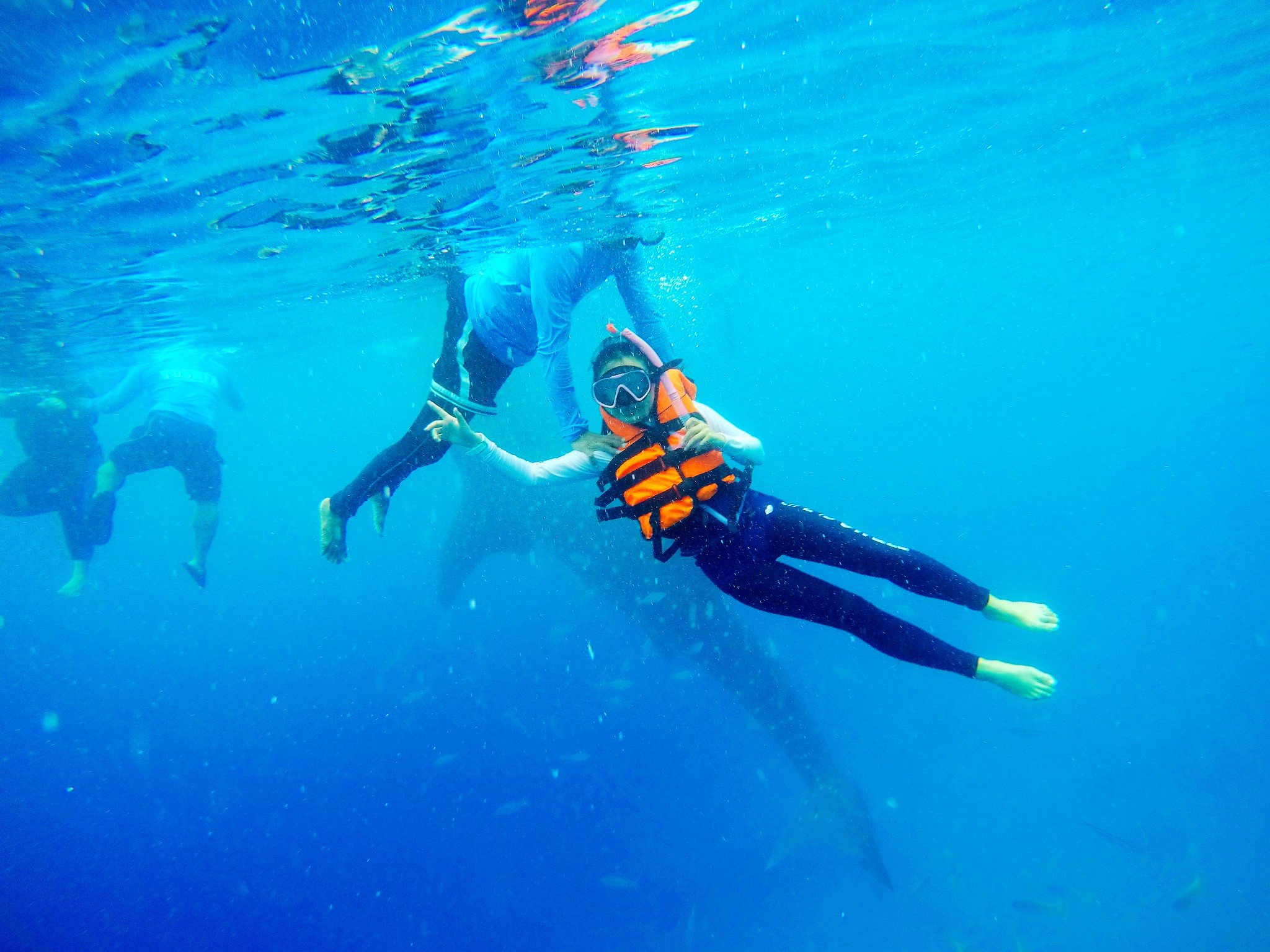条,是一家三口,最后和我同游的是一条baby所以视