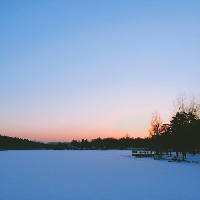 美人松雕塑公园