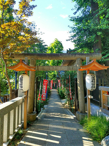 21公园的地板上时常有一大群鸽子觅食 它们丝毫不畏惧游客的存在 可谓是和谐共处 那场景确实有趣 上野公园 评论 去哪儿攻略