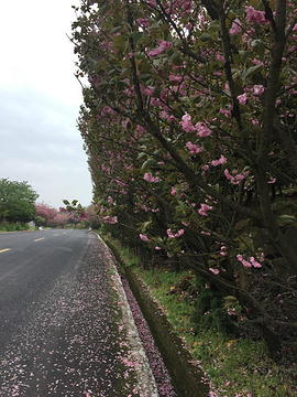 雪窦山旅游景点攻略图