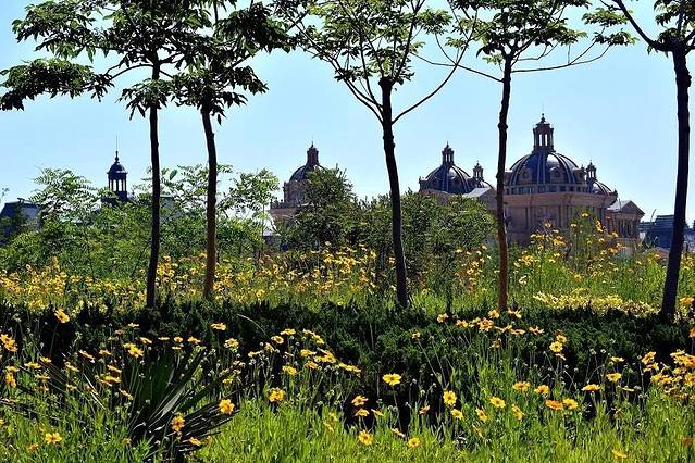 大连国际会议中心