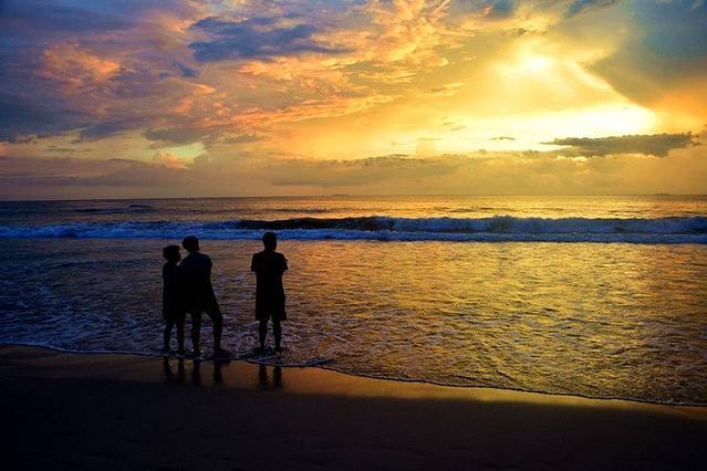 Parrot Rock观景台