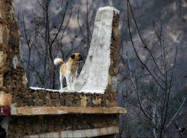 中路藏寨古碉群