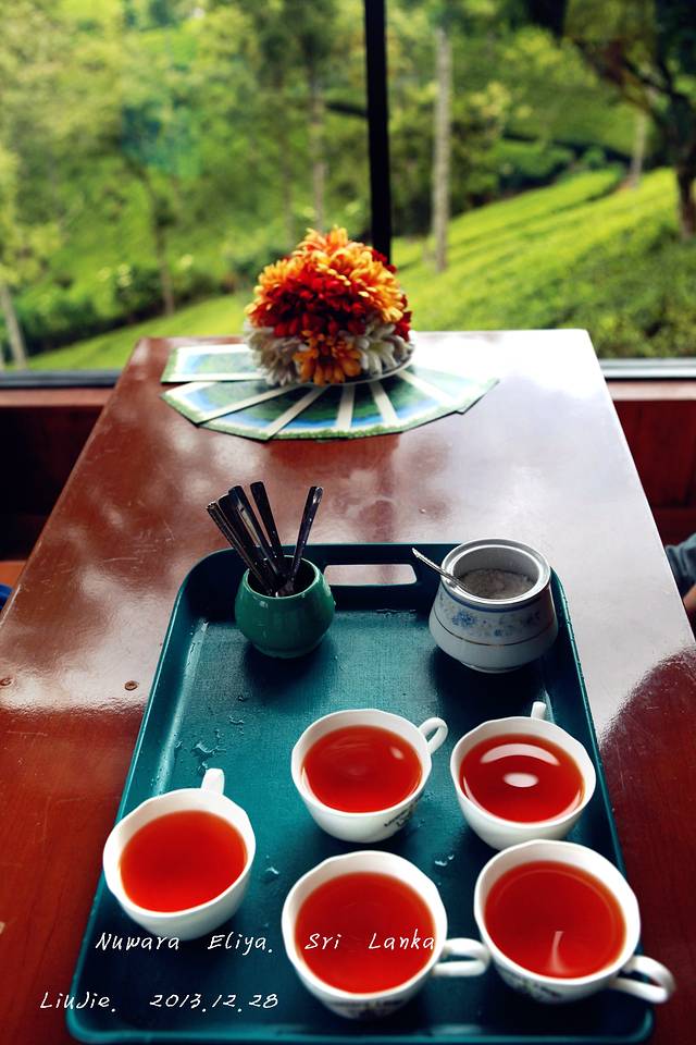 努瓦勒埃利耶茶园