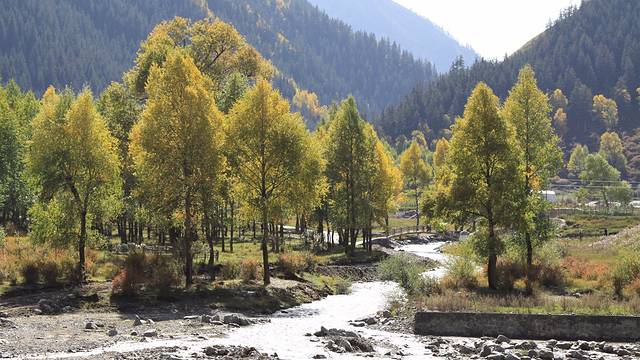 仙米国家森林公园