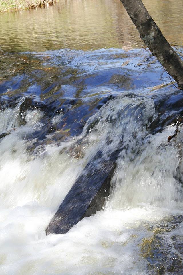大亮子河国家森林公园