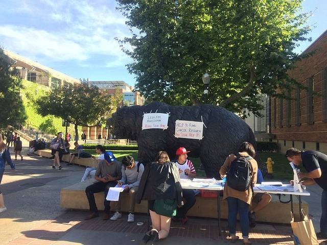 加州大学洛杉矶分校纪念品店