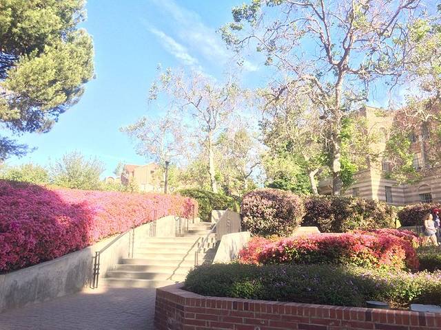 加州大学洛杉矶分校纪念品店