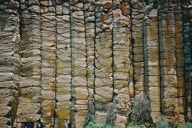 池东大果叶玄武岩