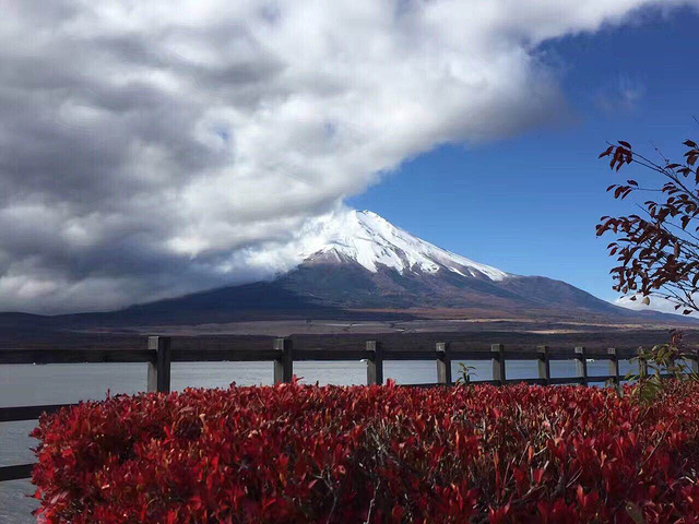 富士山离东京2.5个小时,果断选择了一日团,并且