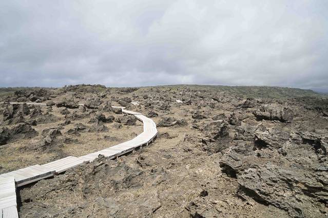 龙坑生态保护区