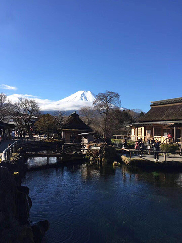 富士山离东京2.5个小时,果断选择了一日团,并且