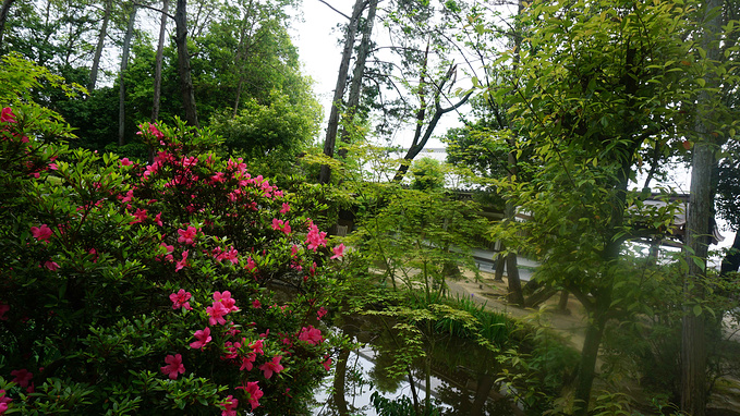 太阳初升之地,淡季漫游平安京【日本大阪京都