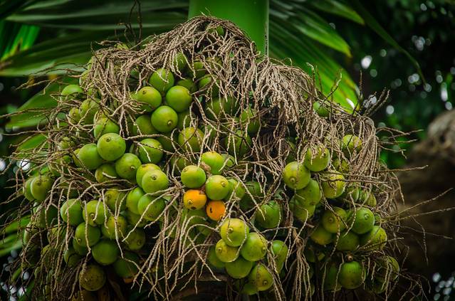 河内文庙——国子监