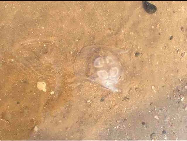 银泰水星海洋乐园