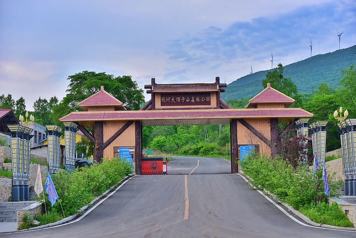 饶河大顶子山森林公园