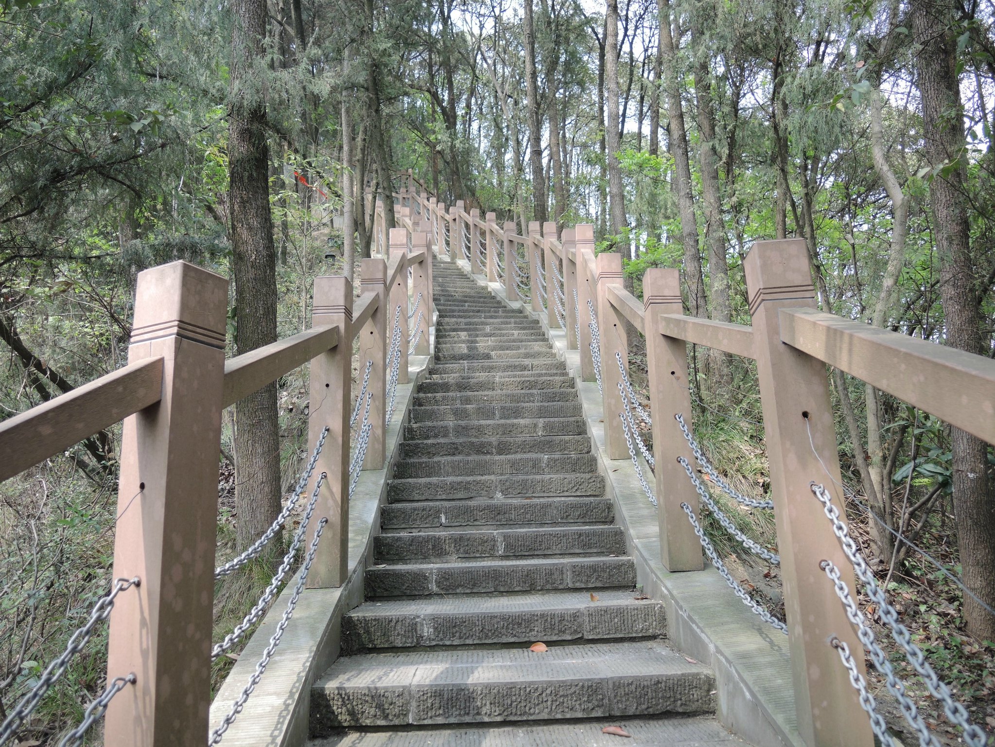 来到山脚下,站在台阶前, 今天的徒步登山就要开始了.