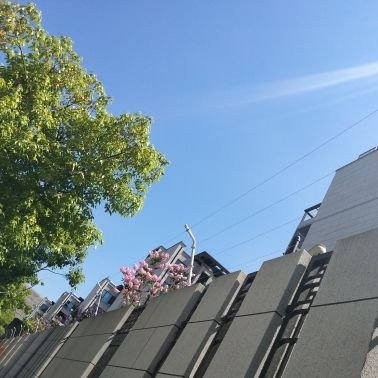 阿里巴巴杭州总部