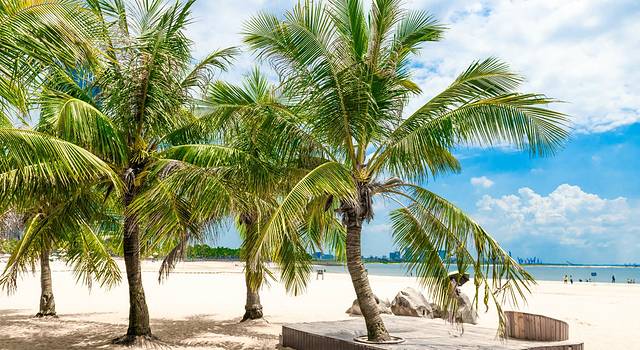 四天三晚粤西游,跟着高铁去感受湛江的水色山