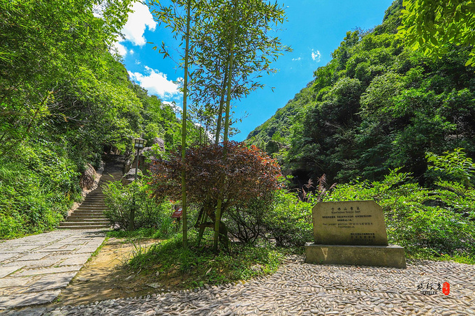 遂昌，一个未开发的避暑县城，有着浙江和福建的山水精华，跟着我去揭秘吧-遂昌旅游攻略-游记-去哪儿攻略