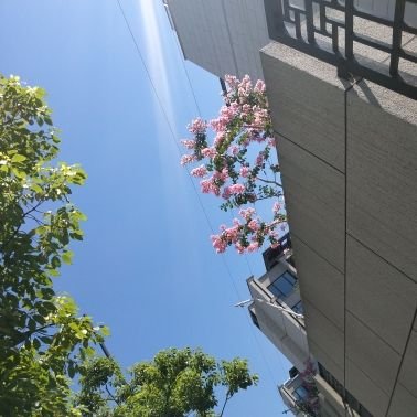 阿里巴巴杭州总部