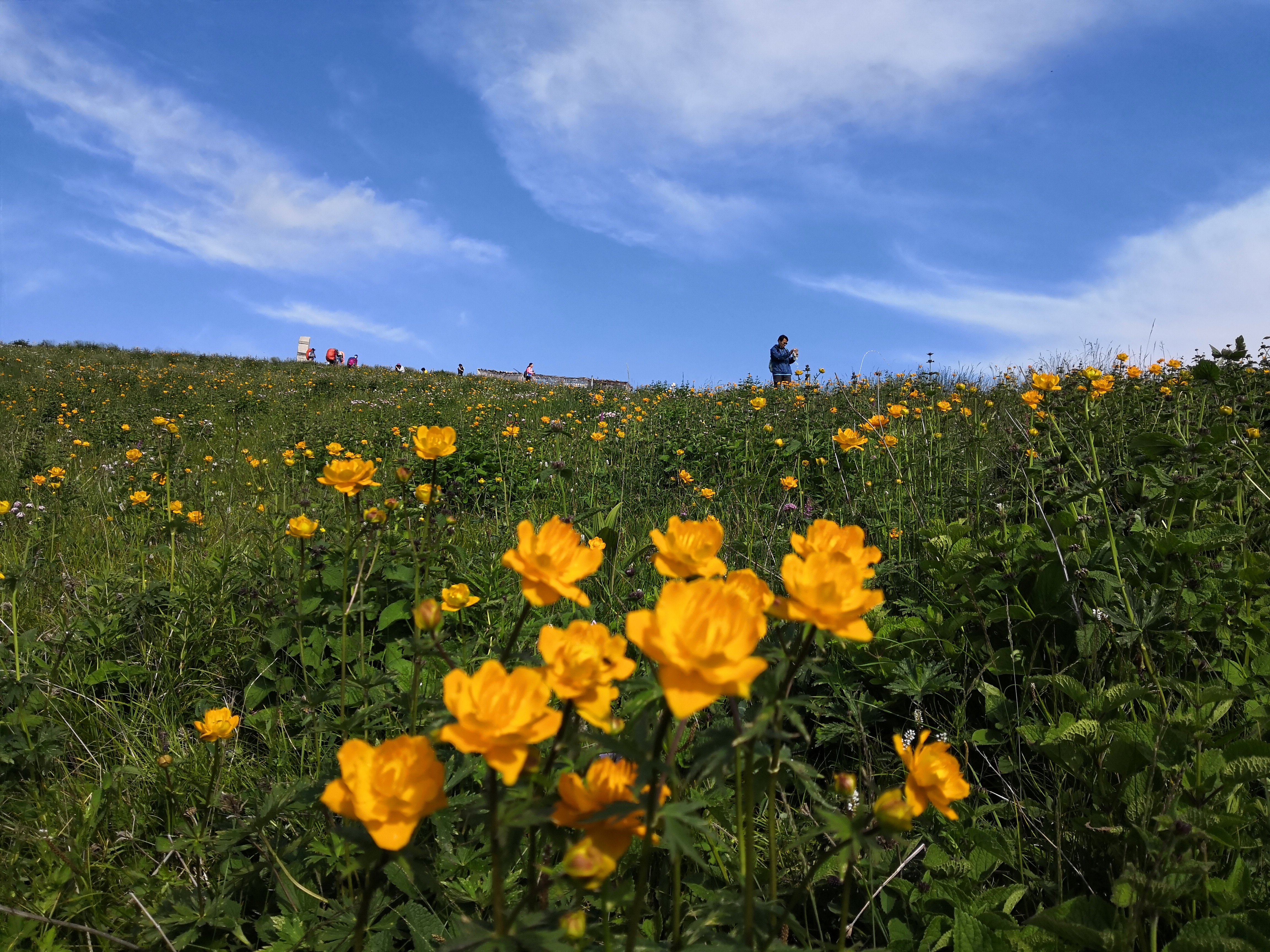2022驼梁风景区游玩攻略,是河北仅次于小五台的又一条.【去哪儿攻略】
