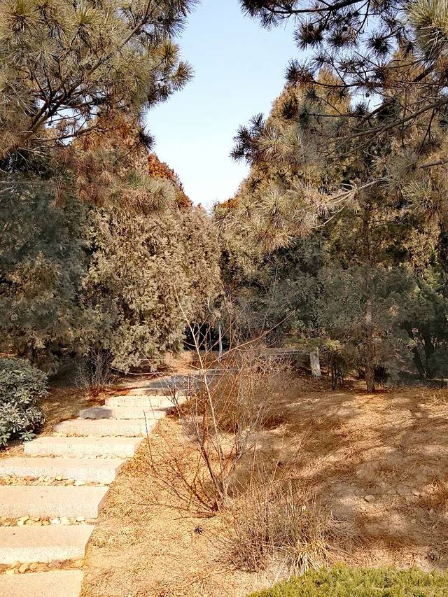 崂山革命烈士陵园