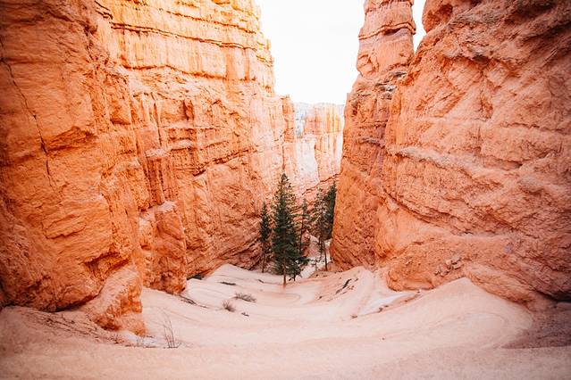 布莱斯峡谷国家公园