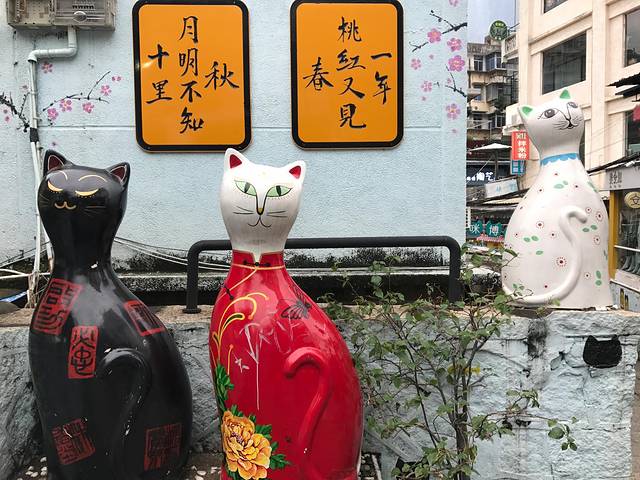 厦门猫咪博物馆(思明南路店)