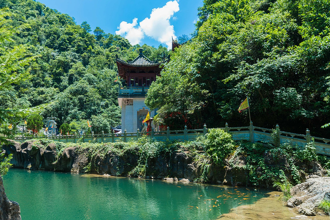 焚香礼佛、聆听戏曲、梦回明唐，三日遂昌，三种人生-遂昌旅游攻略-游记-去哪儿攻略