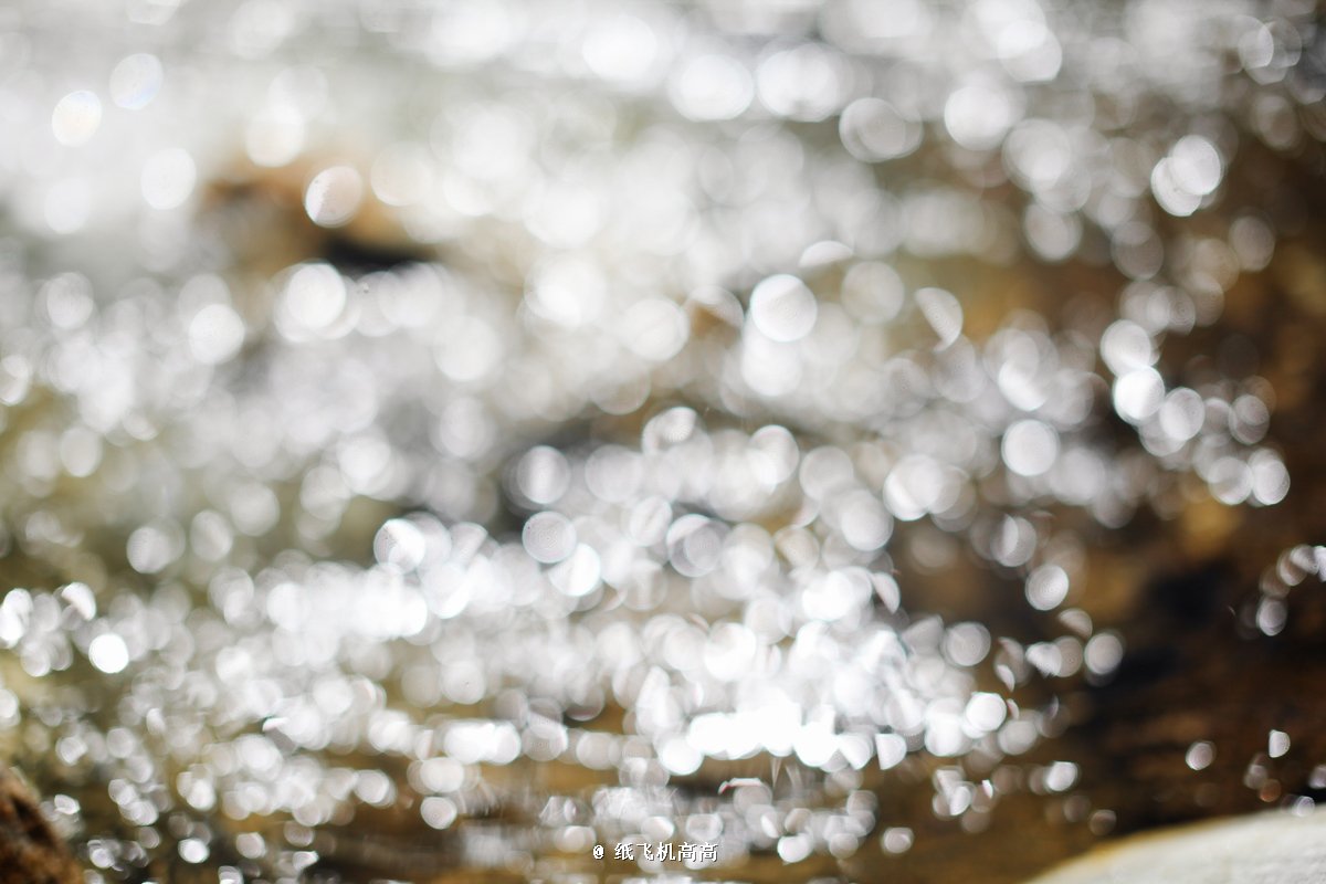 2018鲁朗林海游玩攻略,波密 回八一镇的时候,为