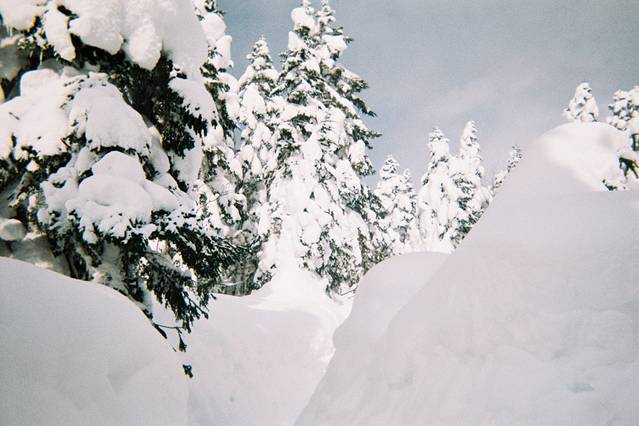 及时行乐我们在升龙道撒欢儿~(高山,新穗高,白