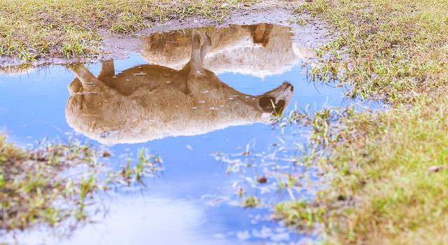 乾隆要带魏璎珞来这里,如懿不答应!多地往返《